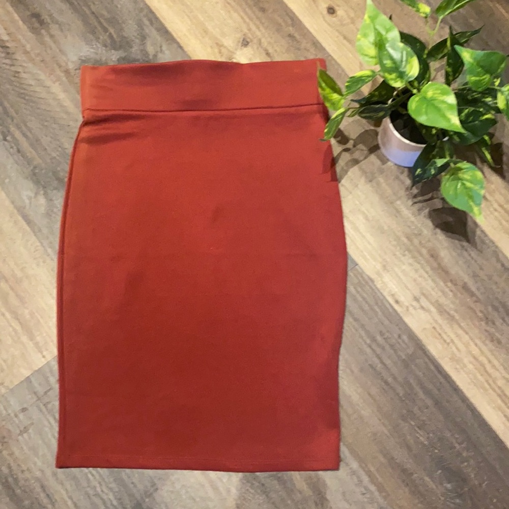 Gorgeous rusty ombré bodycon pencil skirt. NNW